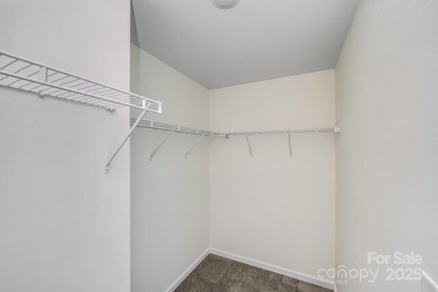 spacious closet with carpet floors