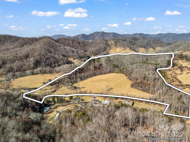 132 Hurd Rd, Canton NC, 28716 land for sale