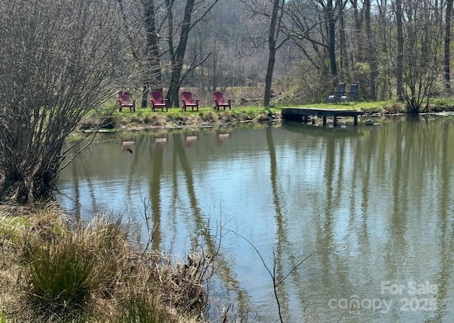132 Hurd Rd, Canton, NC 28716