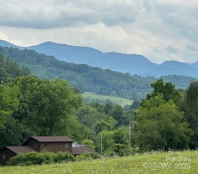 132 Hurd Rd, Canton, NC 28716