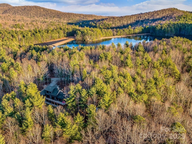 103 Duck Hope Dr, Hendersonville, NC 28739 - bird's eye view with a water view and a view of trees