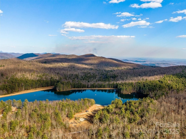 103 Duck Hope Dr, Hendersonville, NC 28739 - exterior space with a water view and a forest view