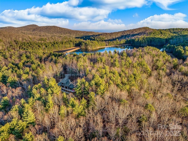 103 Duck Hope Dr, Hendersonville, NC 28739 - birds eye view of property featuring a water and mountain view and a wooded view