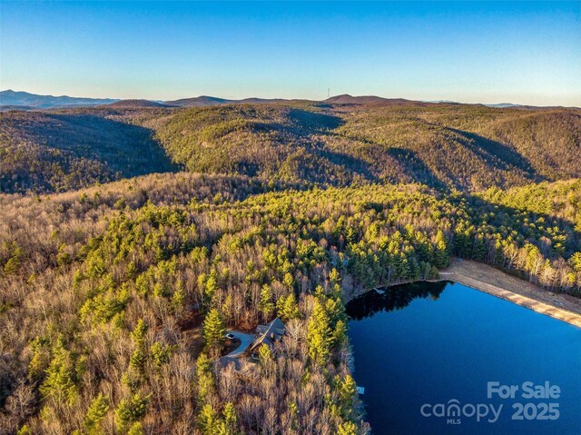 103 Duck Hope Dr, Hendersonville, NC 28739 - bird's eye view featuring a forest view and a water and mountain view