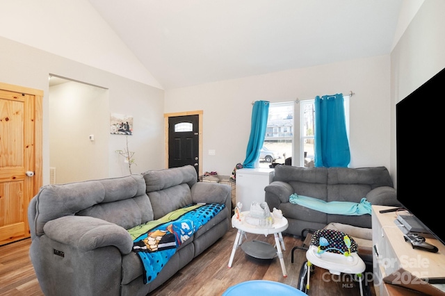 living area featuring high vaulted ceiling and wood finished floors