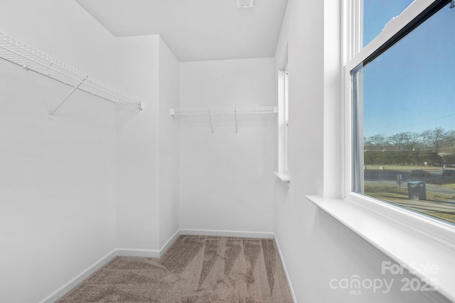 walk in closet featuring carpet flooring and visible vents