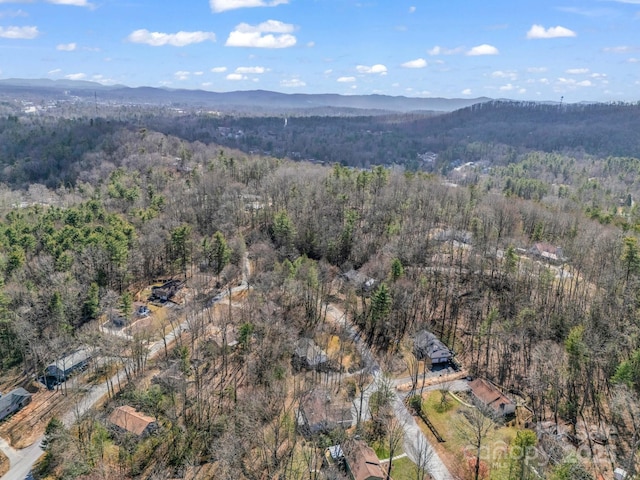 232 Stonebrook Dr, Hendersonville, NC 28791 - aerial overview of property's location with a heavily wooded area and a mountain backdrop