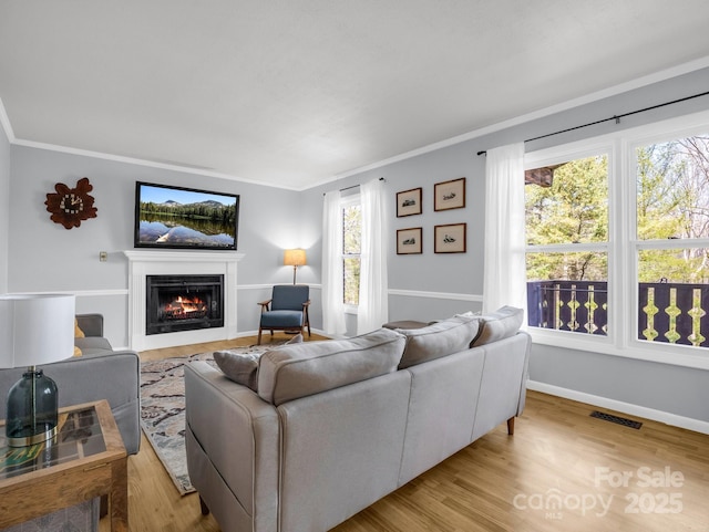232 Stonebrook Dr, Hendersonville, NC 28791 - living area featuring a warm lit fireplace, ornamental molding, wood finished floors, and baseboards