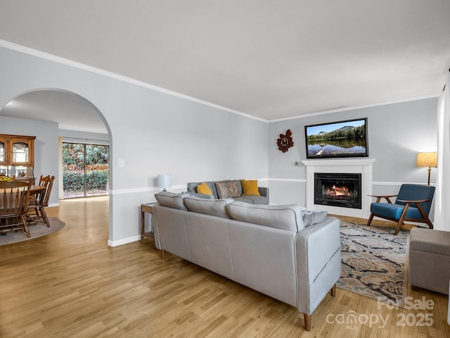 232 Stonebrook Dr, Hendersonville, NC 28791 - living room with arched walkways, light wood-style floors, a glass covered fireplace, crown molding, and baseboards