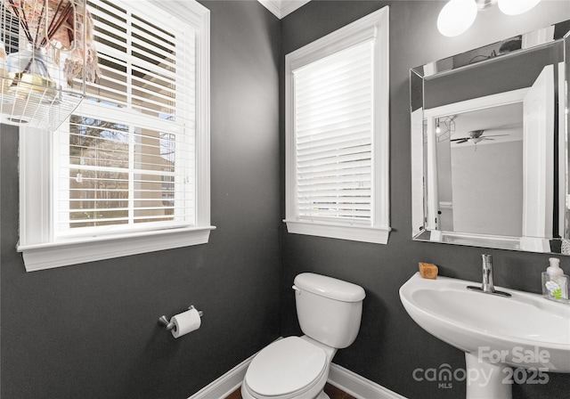 half bathroom with toilet, baseboards, a wealth of natural light, and a sink