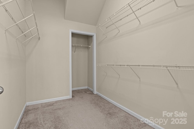 walk in closet featuring carpet