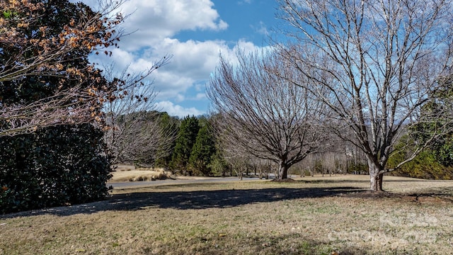 view of yard with a forest view