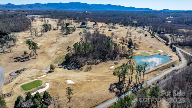 birds eye view of property with a water and mountain view