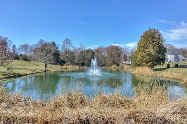 view of water feature