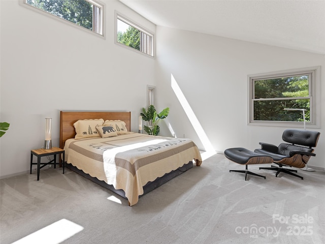 carpeted bedroom with high vaulted ceiling