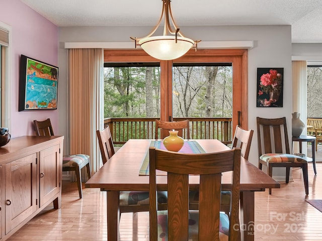 dining room featuring light wood-style flooring and a textured ceiling