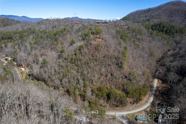 Listing photo 3 for 0 Greasy Branch Rd, Bryson City NC 28713