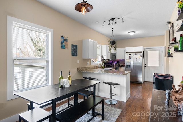 kitchen with stainless steel appliances, dark wood-style flooring, a healthy amount of sunlight, and a peninsula