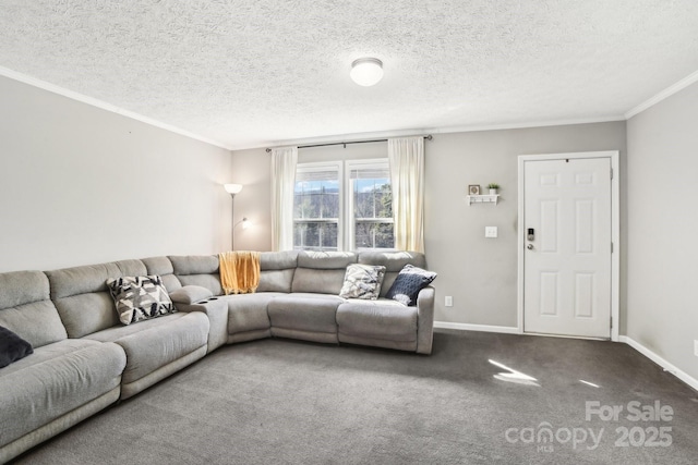 carpeted living area featuring baseboards, ornamental molding, and a textured ceiling