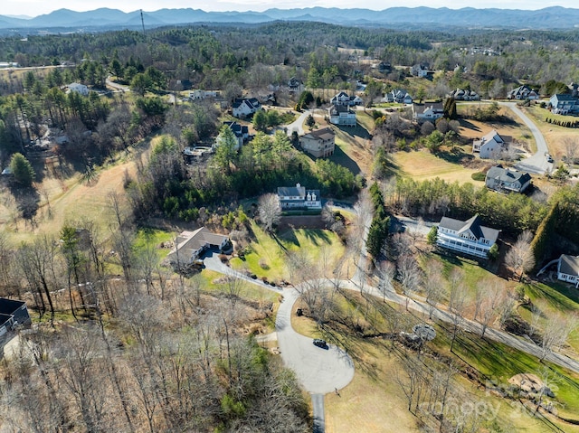 aerial view with a mountain view and a view of trees