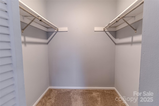4814 Spring Lake Dr E, Charlotte, NC 28212 - spacious closet featuring carpet floors