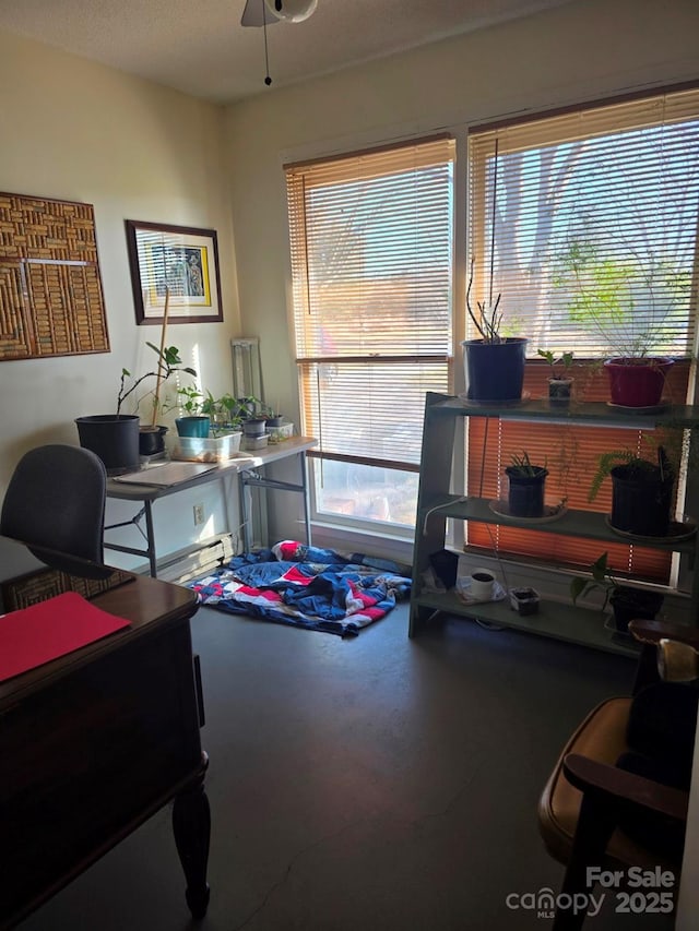 office area featuring a ceiling fan and a healthy amount of sunlight