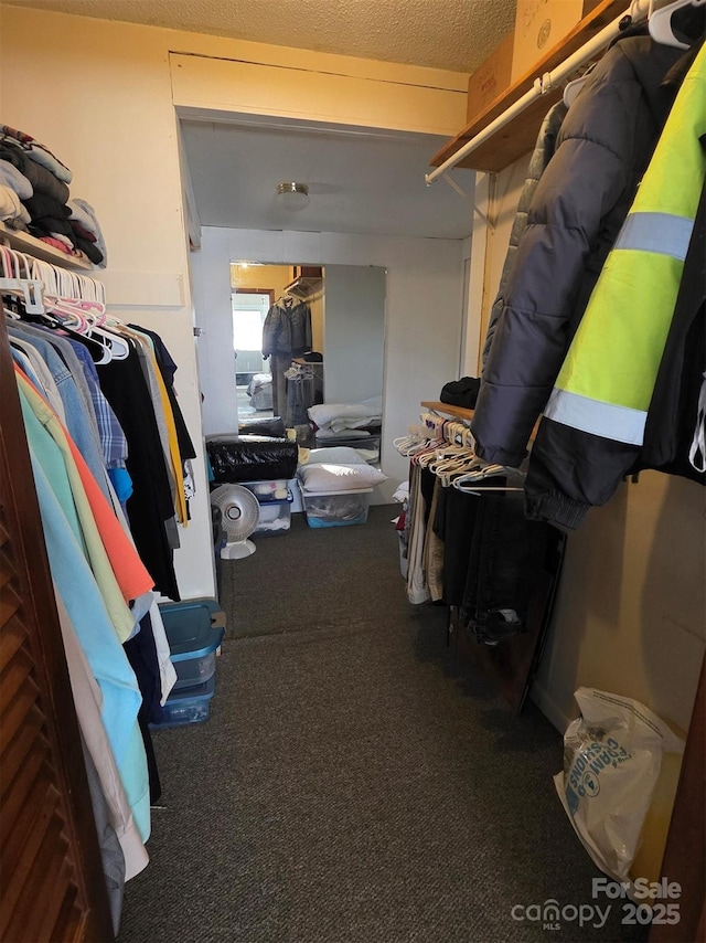 spacious closet featuring carpet