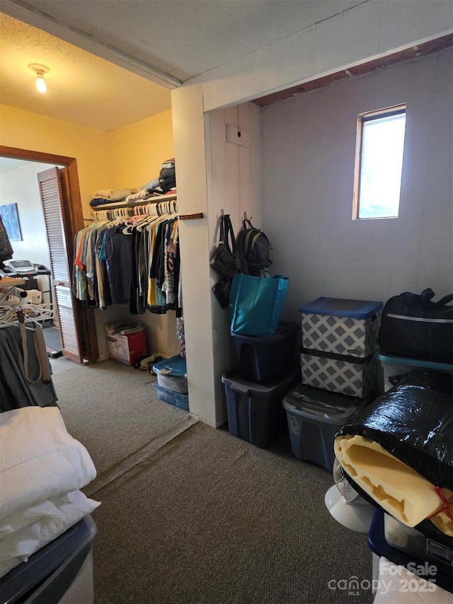 spacious closet with carpet flooring