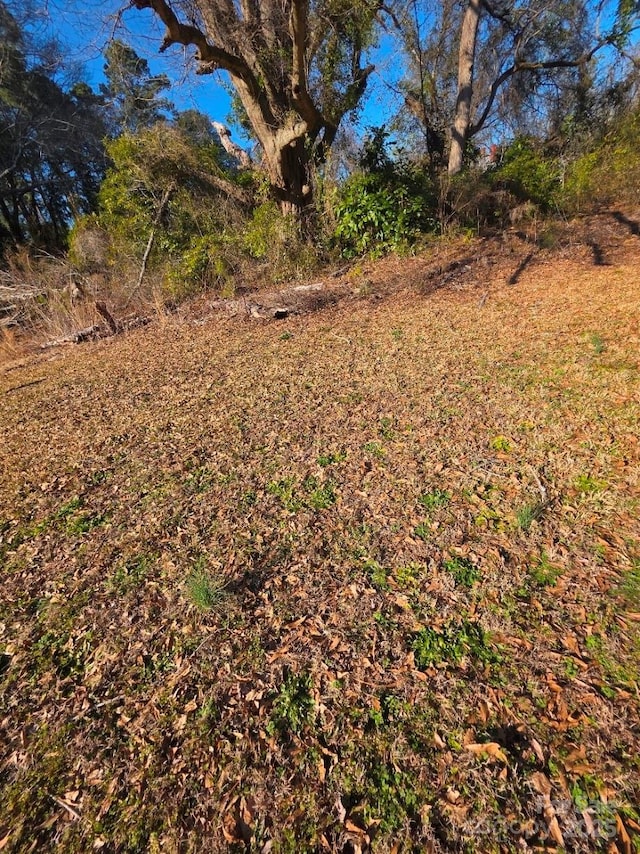 view of local wilderness