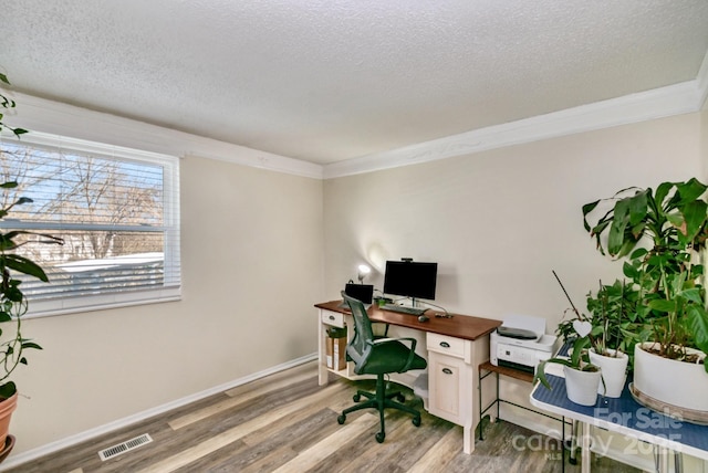 office with visible vents, crown molding, a textured ceiling, and light wood finished floors