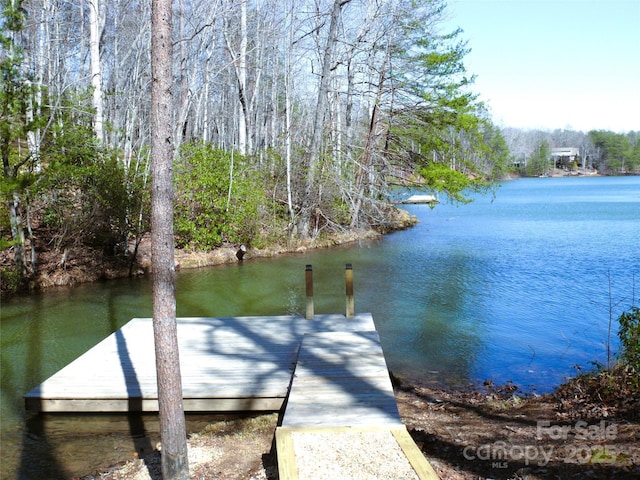 dock area featuring a water view