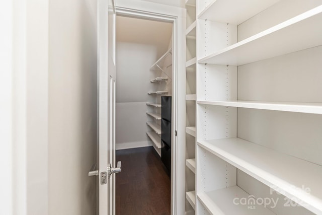 walk in closet with dark wood-style flooring