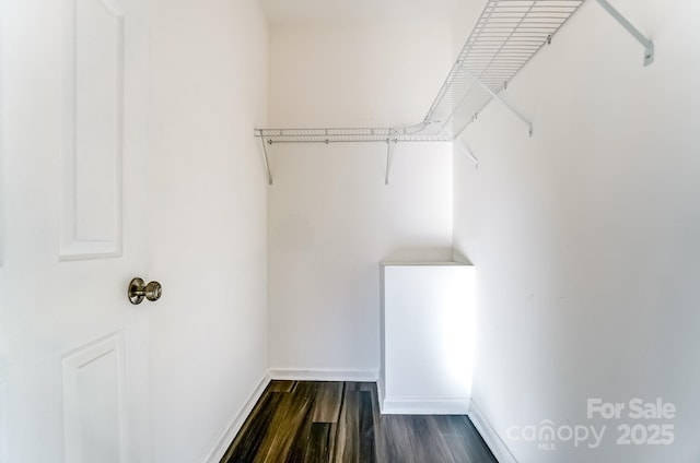 walk in closet featuring dark wood-style flooring