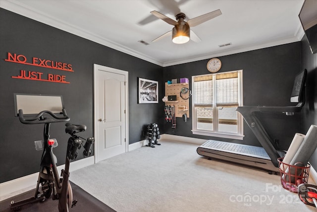 workout room featuring visible vents, baseboards, a ceiling fan, ornamental molding, and carpet