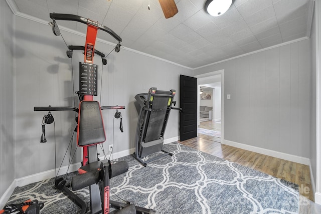 workout room with crown molding, a ceiling fan, and wood finished floors