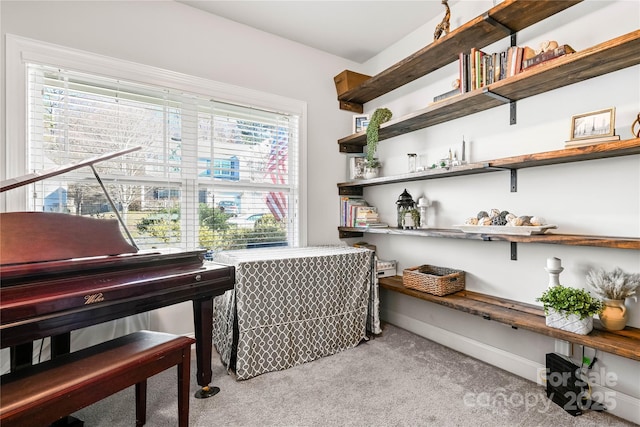 home office with carpet floors