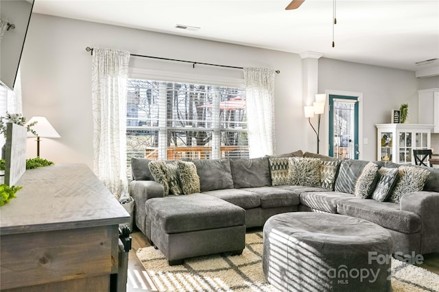 living area featuring visible vents, ceiling fan, and light wood-style flooring