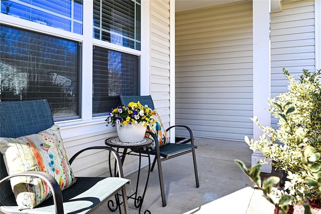 view of patio / terrace with covered porch