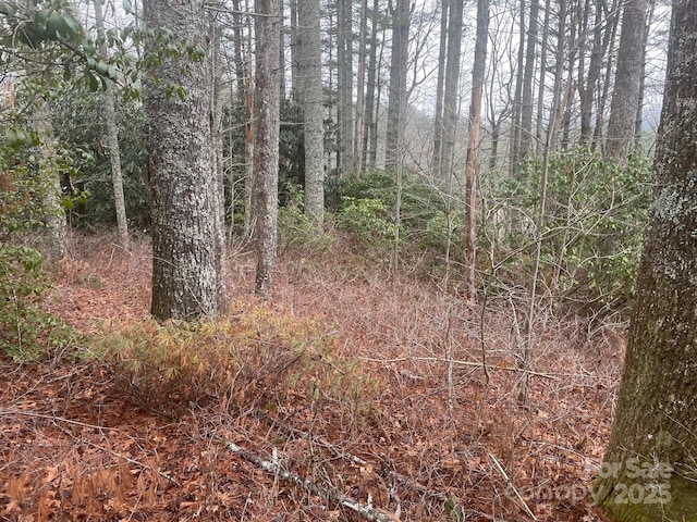 Listing photo 2 for LOT5 Wildwood Dr Unit L-5, Lake Toxaway NC 28747