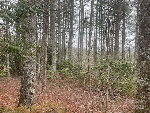 Listing photo 3 for LOT5 Wildwood Dr Unit L-5, Lake Toxaway NC 28747