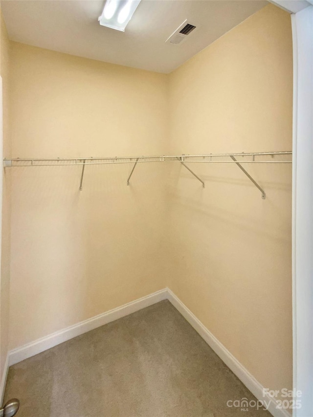 walk in closet featuring carpet and visible vents