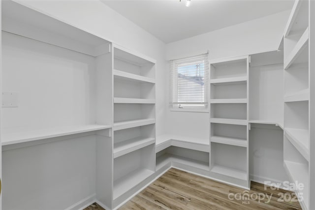 walk in closet featuring wood finished floors