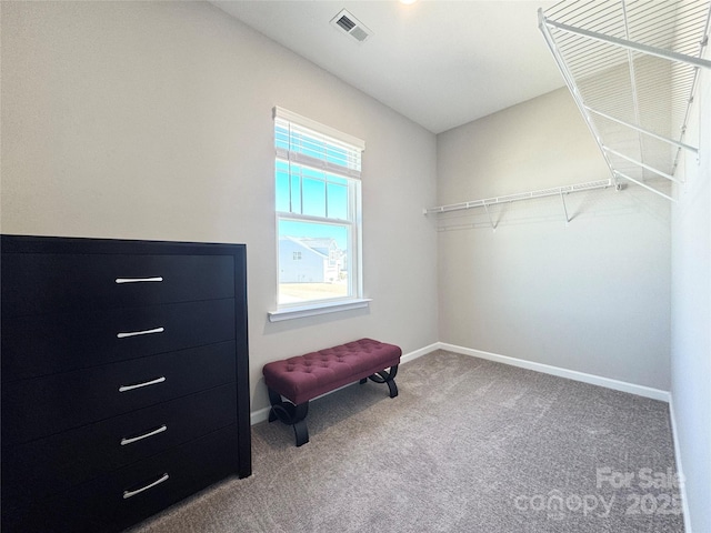 walk in closet with carpet and visible vents