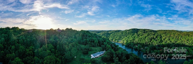 mountain view with a wooded view