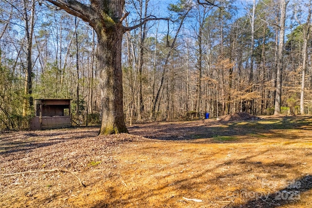 view of yard with a forest view