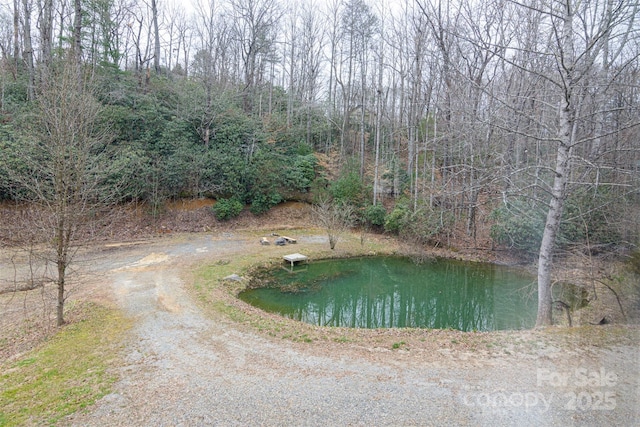 water view with a wooded view