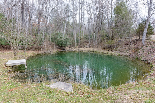 view of water feature