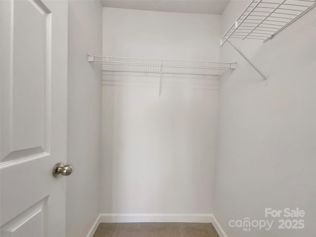 view of walk in closet