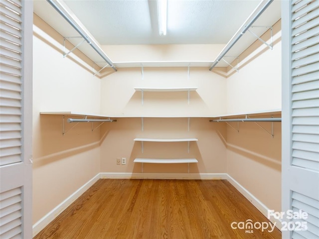 walk in closet with wood finished floors