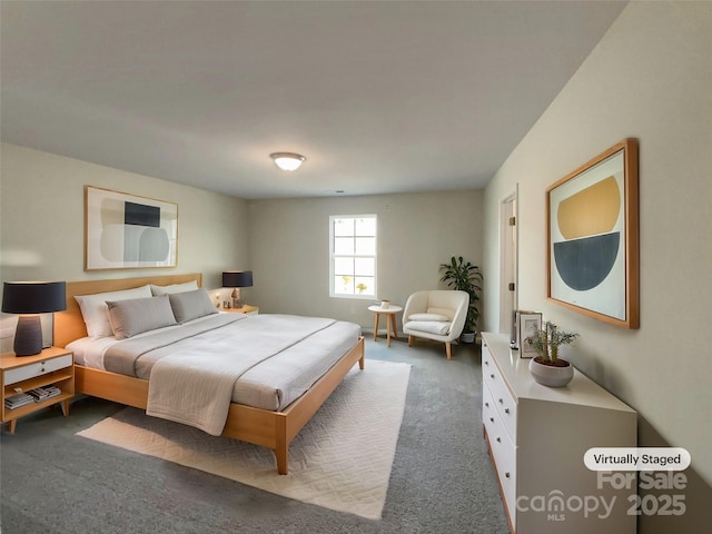 bedroom with carpet floors